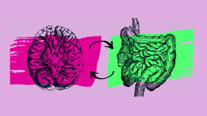 Causas da formação de ama (biotoxina metabólica)