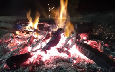 O que dizem os textos clássicos das grandes Medicinas Tradicionais sobre o inverno?!