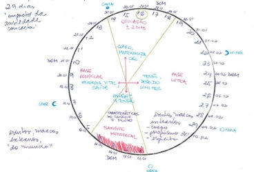 Curso online: Ciclicidade e Mapa Menstrual (Inverno/2024)