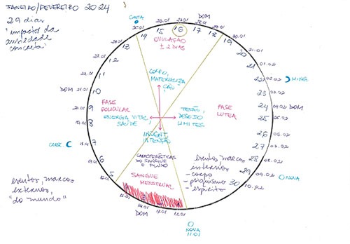 Curso online: Ciclicidade e Mapa Menstrual (Inverno/2024)